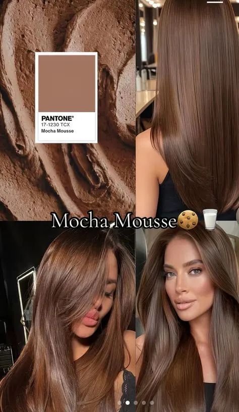 Bốn version Mocha Mousse 2026 tại Chí Tâm Hair Salon